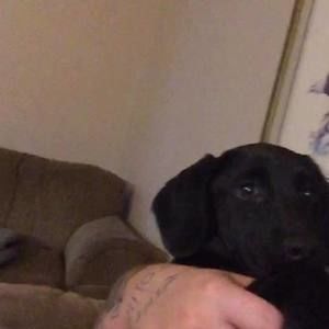 Meet your Posher, Patrick